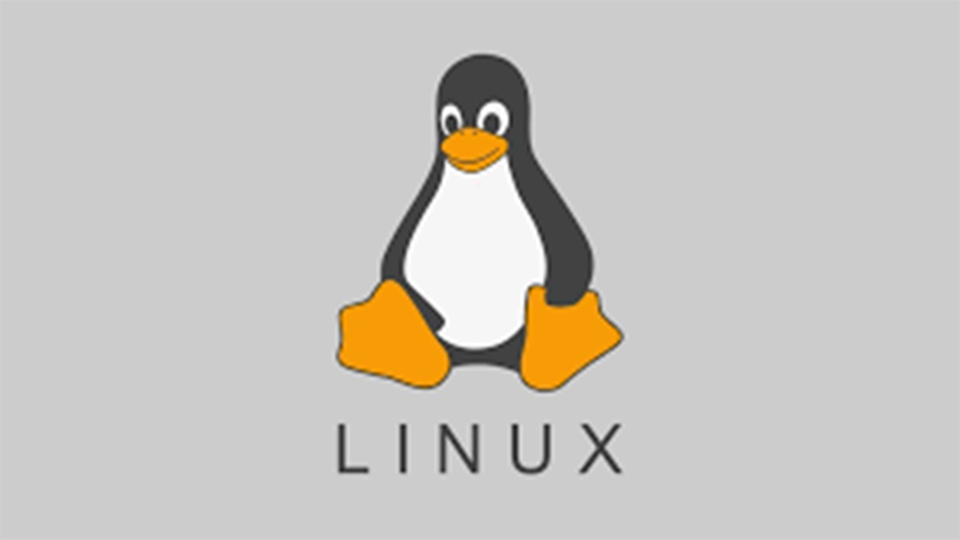 Linux İşletim Sistemi Nedir?